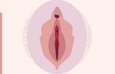 Comment nettoyer son vagin et sa vulve?