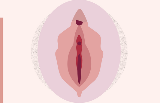 How to clean your vagina - Minimalist vulvas by Désirables Blog post
